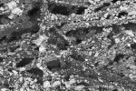 SEM Image of Solids in Used WLPF